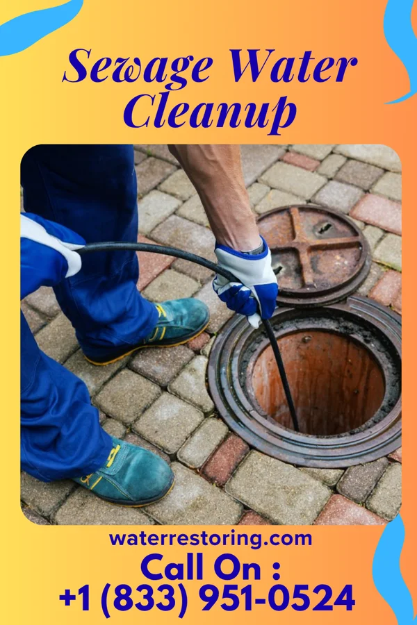 Sewage Water Cleanup in Fordsville, KY